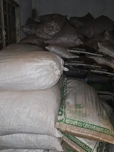 Sementes de agropolo disponível.