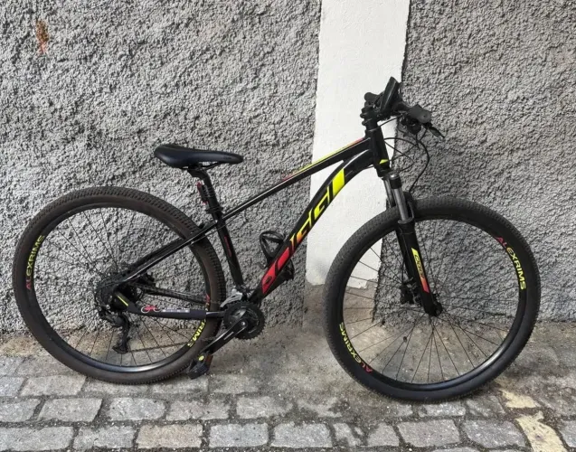 Biki Oggi big Wheel 7.0