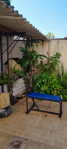 Musculação Puxa Remada Banco de Supino