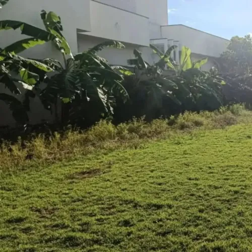 Lote 12x50 setor Sul