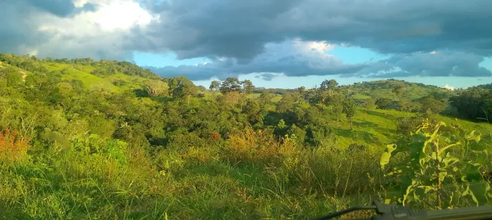 Terreno 1000