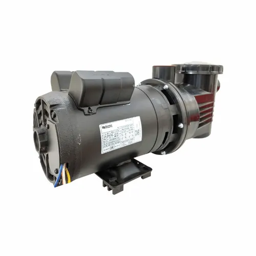 Bomba para Piscina Dancor PF-17 1.1/2 CV - Entrega Grátis - 3x no cartão