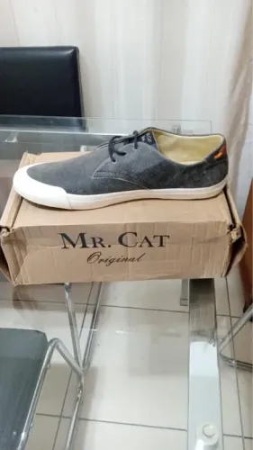 Sapato Mr Cat couro original novo lacrado