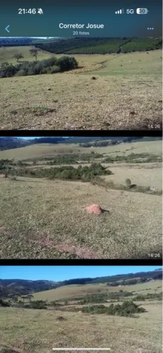 Fazenda de café