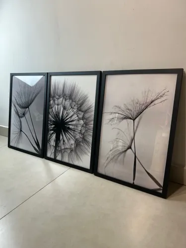 Quadros Decorativos Dente-de-Leão Moderno Preto e Branco 60x40