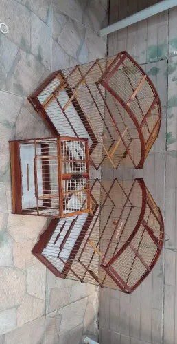 Gaiolas E Gaiola Passeio. 