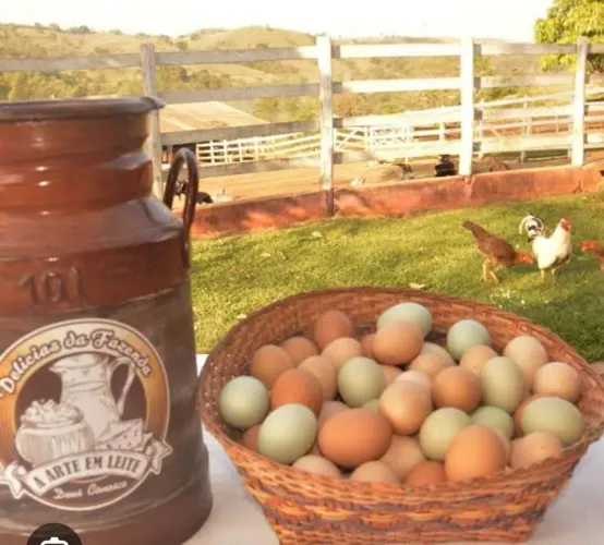 Ovos e leite caipira 