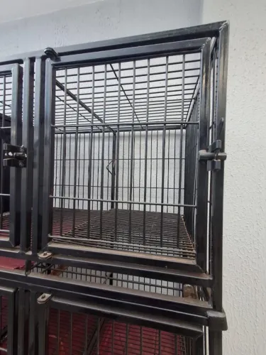 Gaiola metálica modular veterinária, pintura epóxi