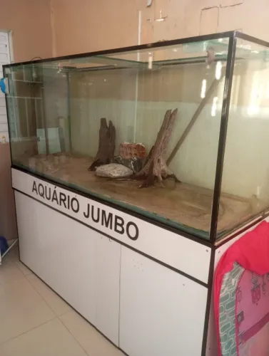 Aquário Jumbo completo aceito bicicleta celular vídeo game