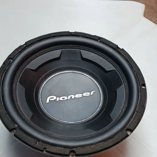 SUBWOOFER DE 12 POL.