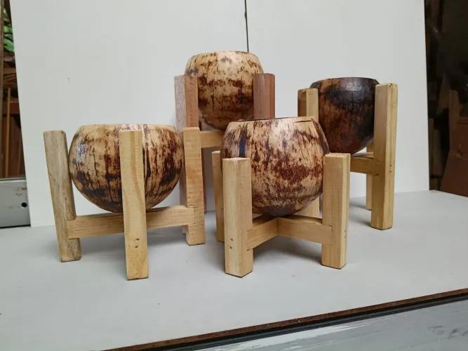 Conjunto de Mini vasinhos de côco com suportes.