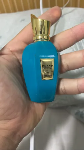 Perfume importado erva pura