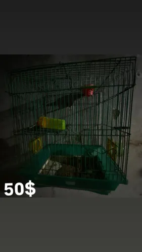 Gaiola pra hamster , ratos Twister , chinchilas e porquinhos da índia 
