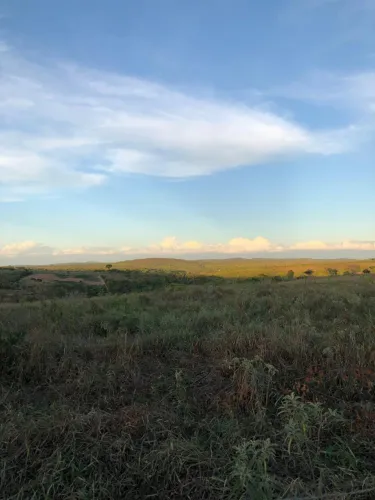 Fazenda 283 tarefas em mundo novo / piritiba / tapiramuta 