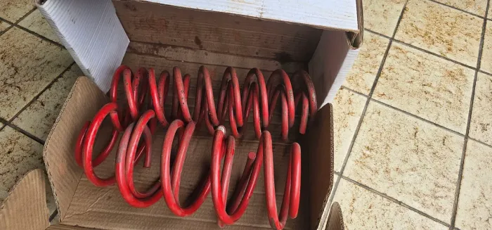 Molas espotivas