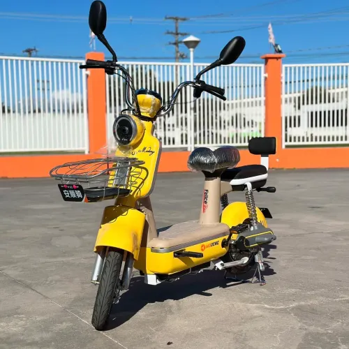 Bicicleta elétrica 