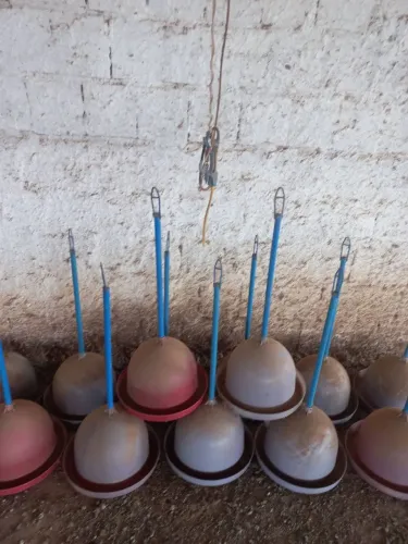 Comedouros e Bebedouros automático!!!