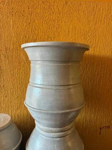 vaso de planta