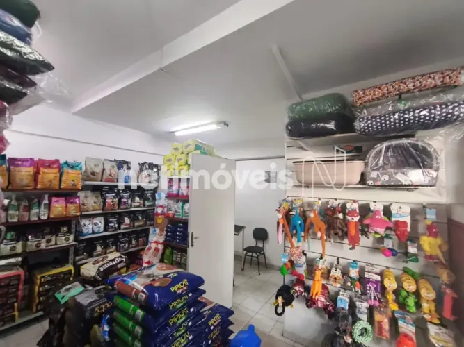 Loja no Nova Granada