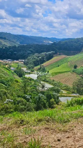 Fazenda à Venda com 12 Alqueires em Santa Maria de Jetibá - Produção Ativa e Porteira Fech