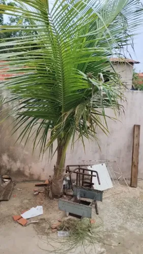 Casa para alugar no bairro boomerang Na Taboca do pau ferrado