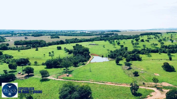 Fazenda à Venda em Bom Jardim de Goiás 75 Alqueires
