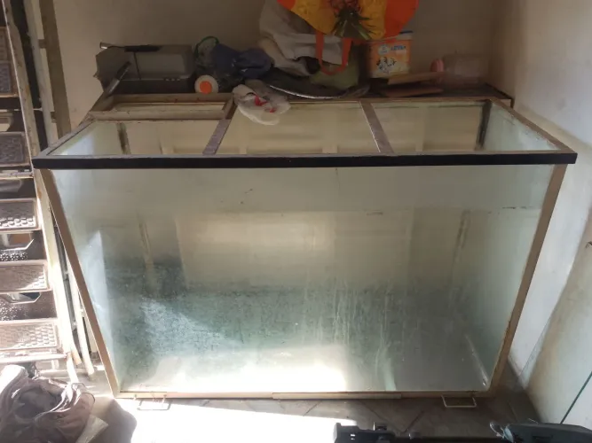 Aquário Jumbo 1000 litros vidro blindex
