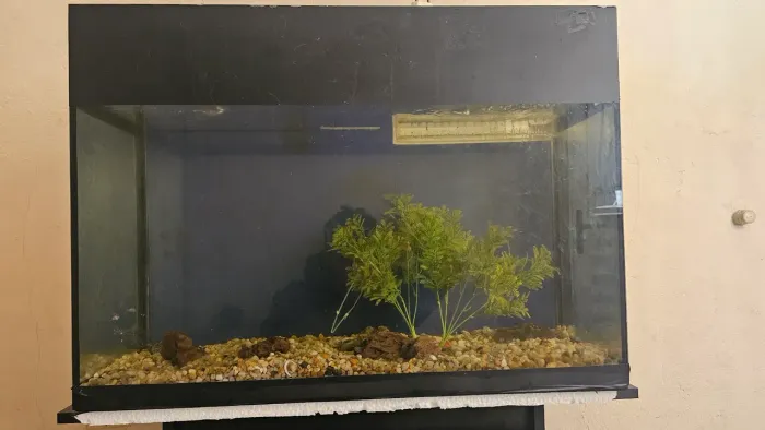 Aquário 80L Completo com Sump Traseiro, Aquecedor e Bomba