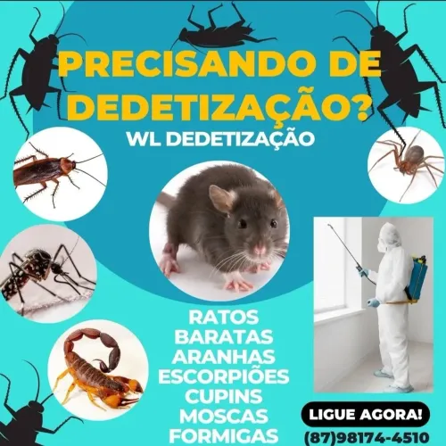 SERVIÇO DE DEDETIZAÇAO 