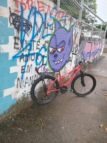 bike aro 26
