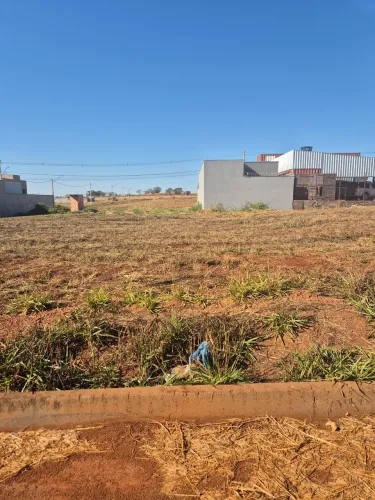 Lote Cidade Jardim