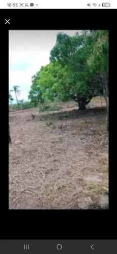 Tendo e troco