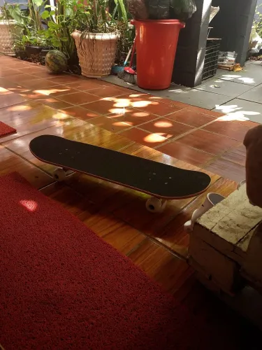 Skate maple semi-novo