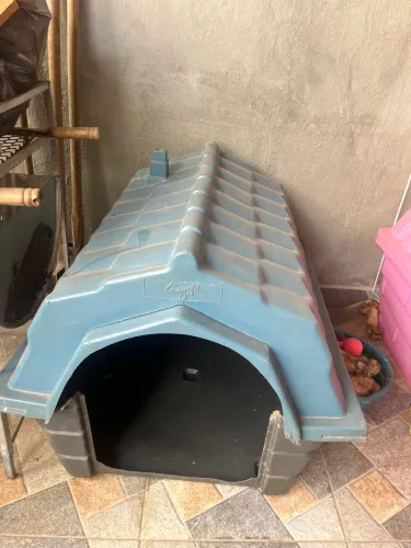 Casinha de cachorro de plástico