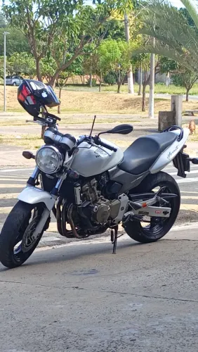 Hornet 2005/2006