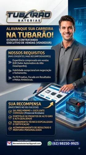 Vendedor loja de Baterias Automotivas