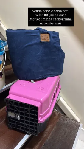 Caixa e bolsa pet