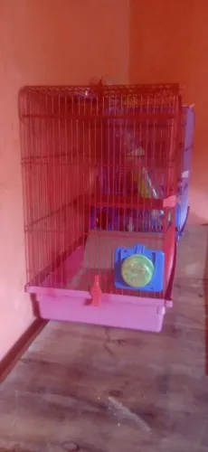 Gaiolas