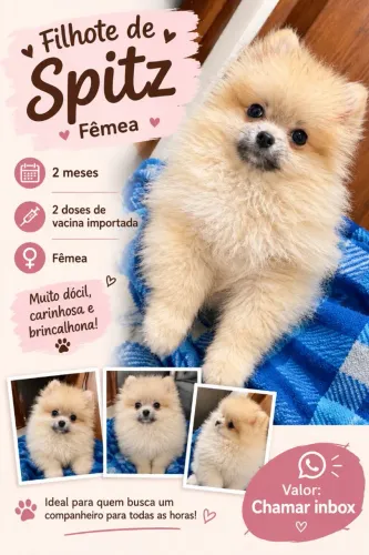Filhotes