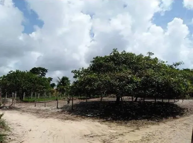 Vendo 3 lotes 20 mil cada um medindo 8×30, troco por carro ou moto