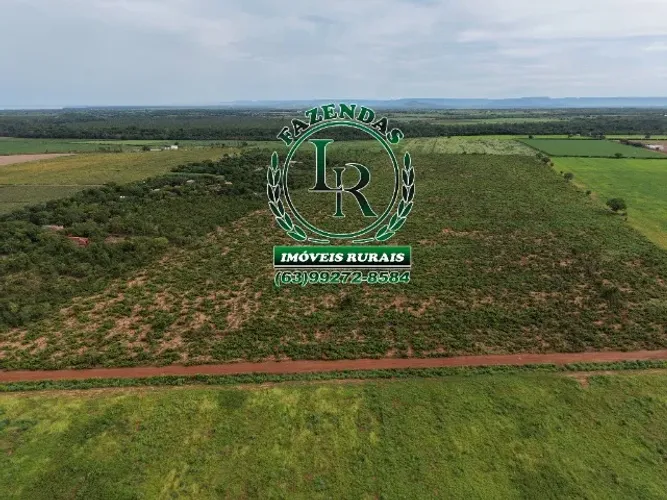 Chácara23000M², Região Prata, Próximo a Palmas