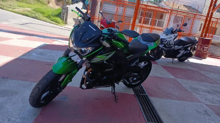 Z 300