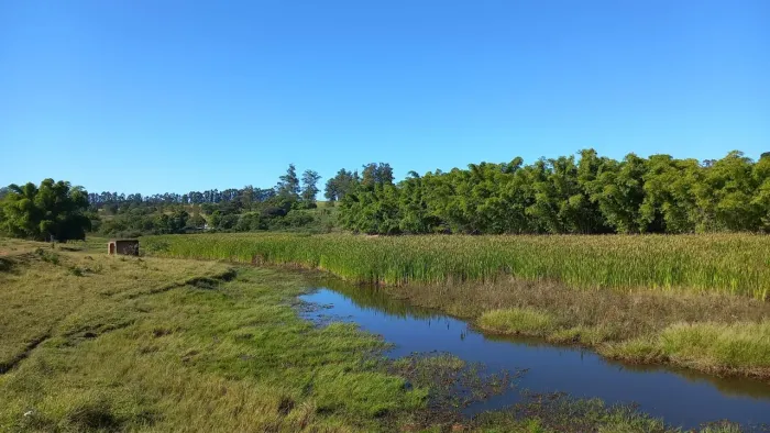 Maravilhoso Sítio 127.000 m², Região Monte Belo, Campinas.
