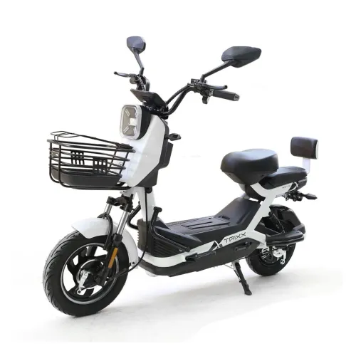Scooter elétrica Trixx 