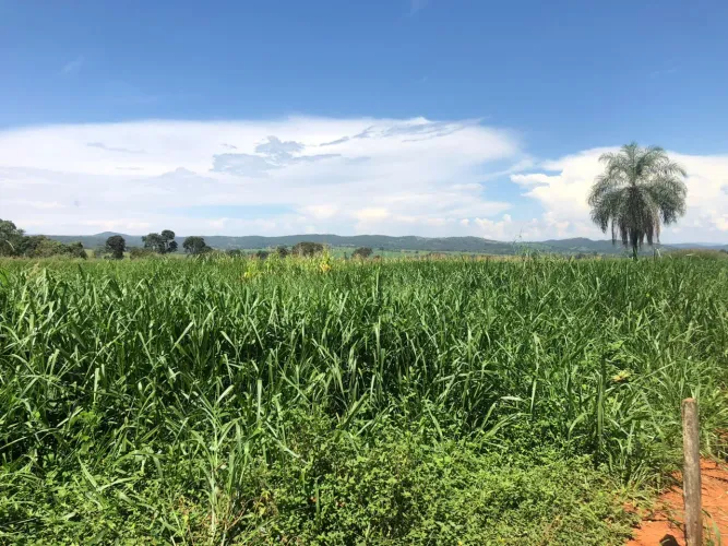 Chácara em Varjão/GO