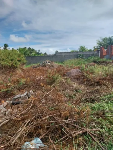 Vende-se Lote na Praia da Caueira
