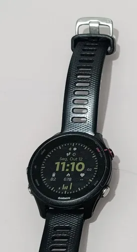 Garmin 255s