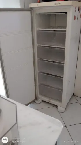 Freezer vertical Electrolux fe 22 super