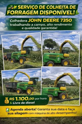 Serviço de colheita de forragens milho capim em todo estado do mato grosso
