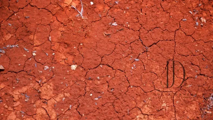 FAZENDA 320ha NA CHAPADA DIAMANTINA: RIO PERMANENTE E SOLO VERMELHO